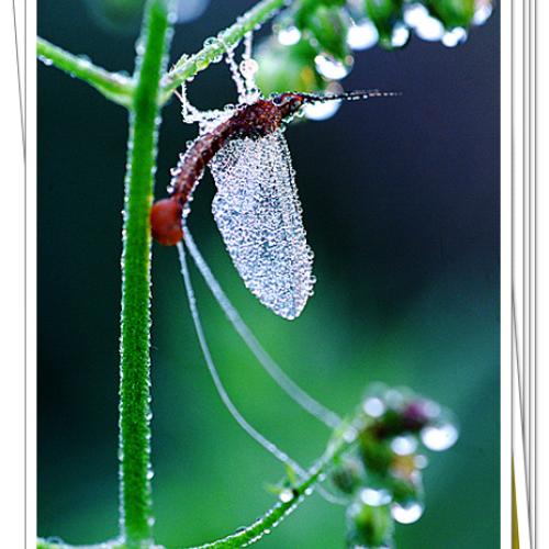 오늘 아침엔99탄