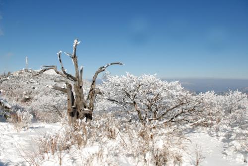 덕유산의 설경