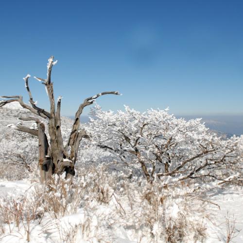 덕유산의 설경