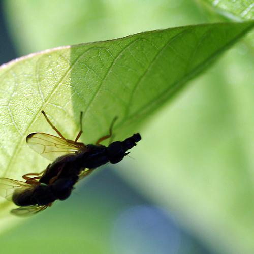 오늘 아침엔218탄