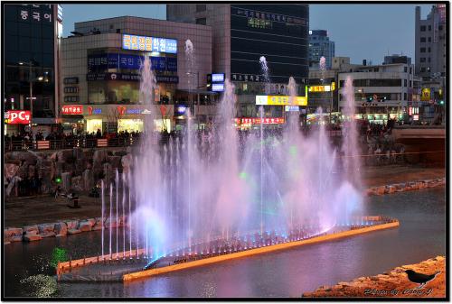 목척교 옆 음악분수