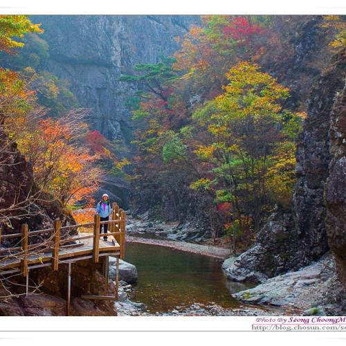 절골의 가을