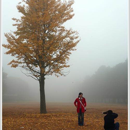 아이쇼핑님 부부