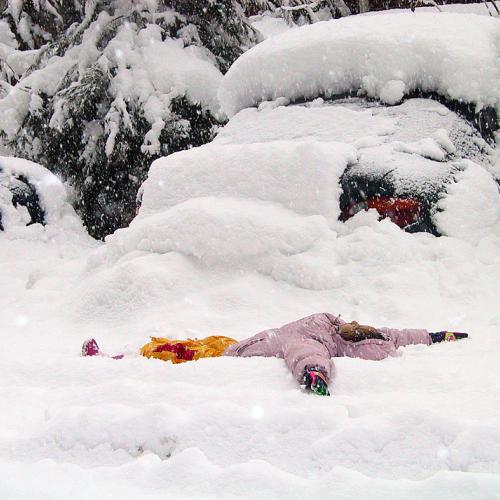 Snow Festival & ....