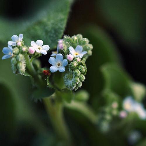 오늘아침엔5탄(연 작)