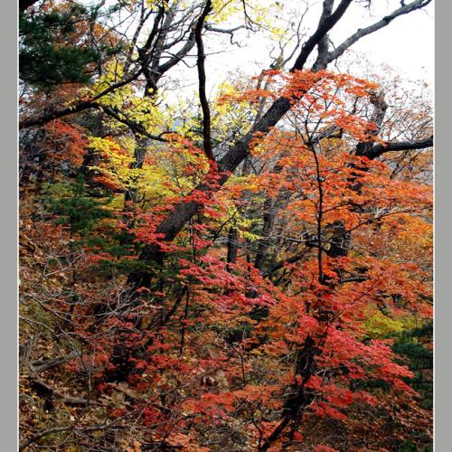 설악산 (스크롤 압박)