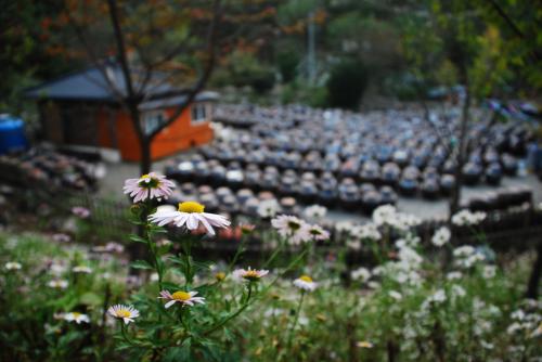 정모는 아니지만...