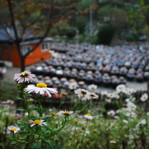 정모는 아니지만...