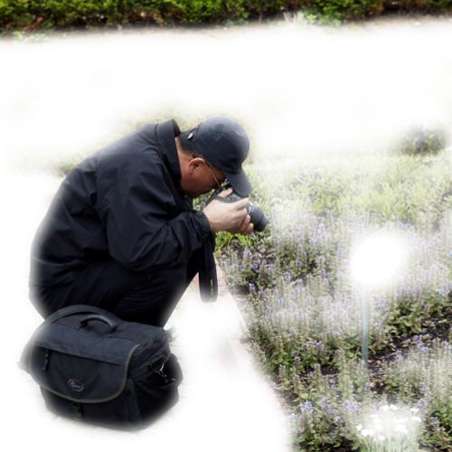 주례서신 분 몇 시간 뒤 모습