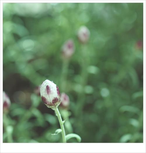 봄, 베란다 풍경