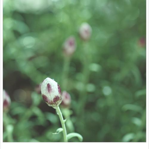 봄, 베란다 풍경