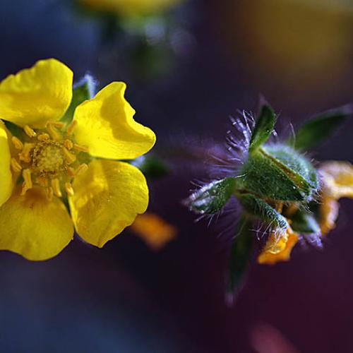 오늘아침엔6탄(연 작)