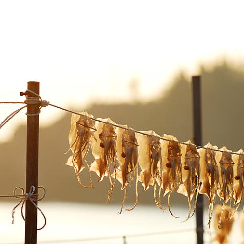 동해안의 겨울 아침풍경