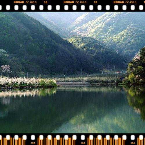 오늘아침엔7탄(연 작)