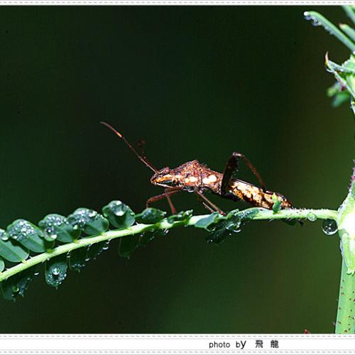 오늘 아침엔101-2탄