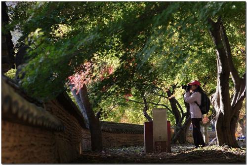 라일락님...빗방울님...!