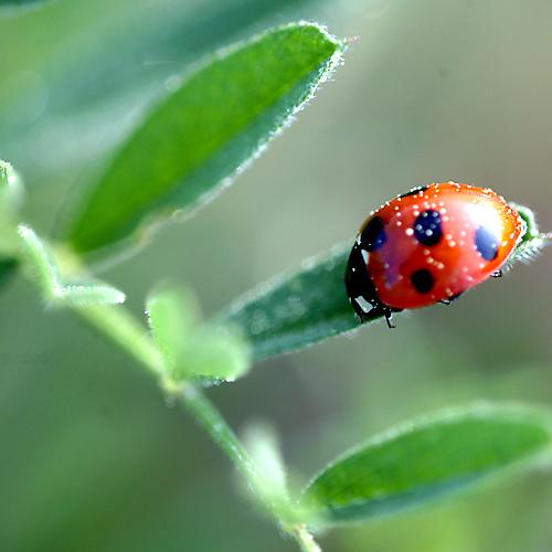 오늘 아침엔159-3탄