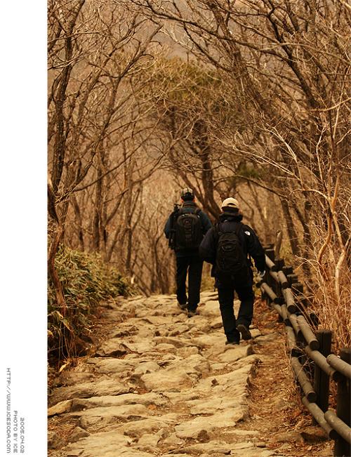 하산중이신 회원님들