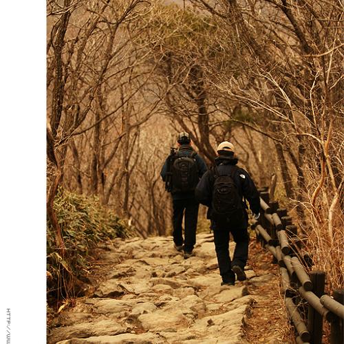 하산중이신 회원님들