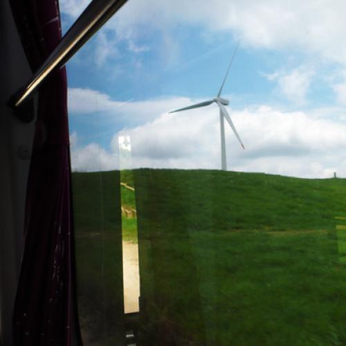 삼양목장 다녀왔습니다.