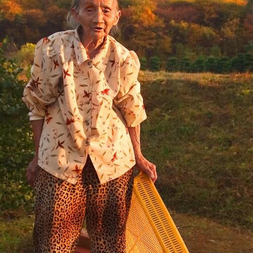 늙은이사진 찍어 뭐하게...