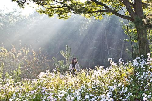 영평사에 갔더니...