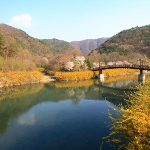 상소동 산림욕장