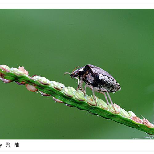 오늘 아침엔102탄