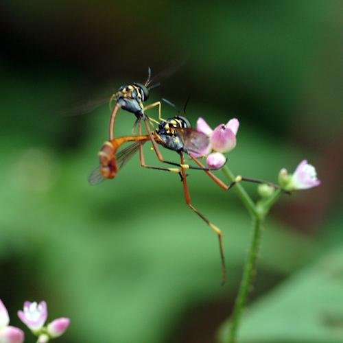 오늘 아침엔219탄(너무 아쉬웠던 아침)