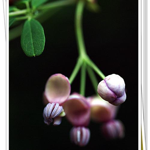 오늘 아침엔9탄(연 작)