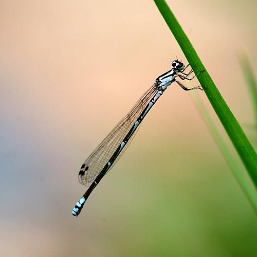 오늘 아침엔160탄