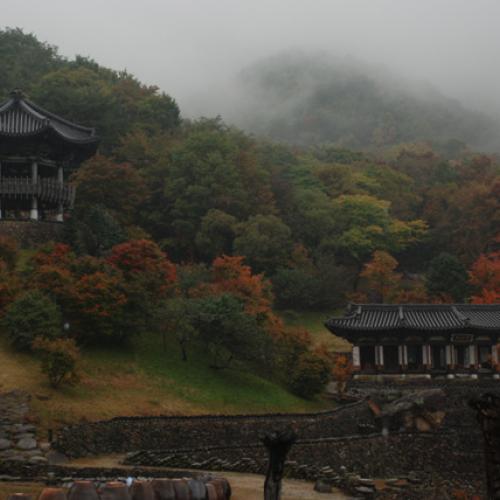 청학동에 갔다가...