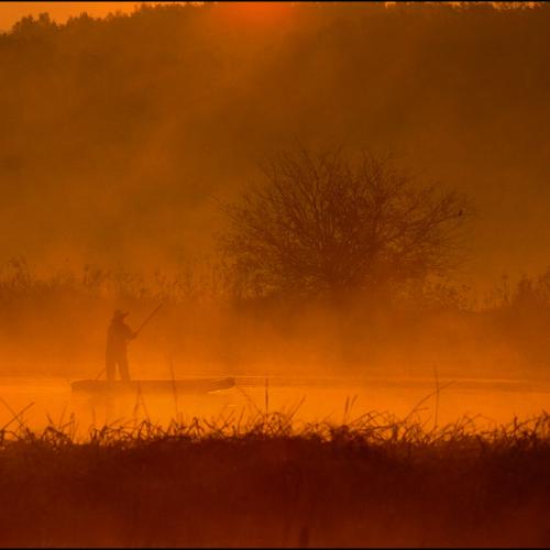 빛이 좋은 나날을 ...