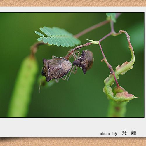 오늘 아침엔103탄