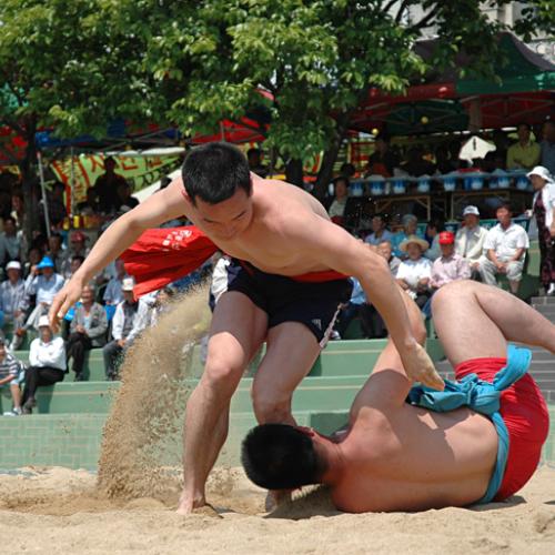 필사의 노력을....