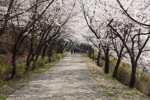 동아공고에 놀러 오세요~..~
