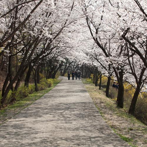 동아공고에 놀러 오세요~..~