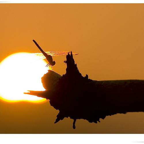 용암사 일출 보러 갔다가