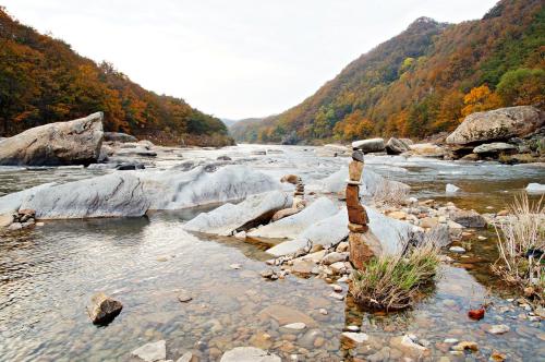 월류정 가을소경
