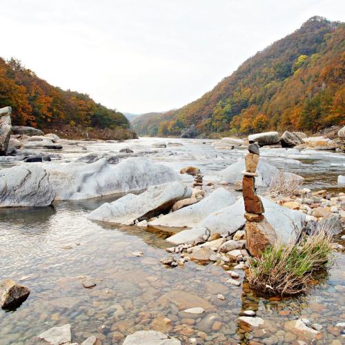 월류정 가을소경