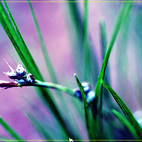 오늘 아침엔10탄(연 작)