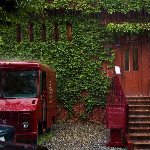 비가 오네요.....