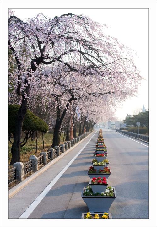 동작동 국립현충원