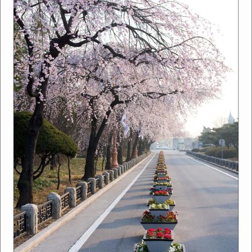 동작동 국립현충원