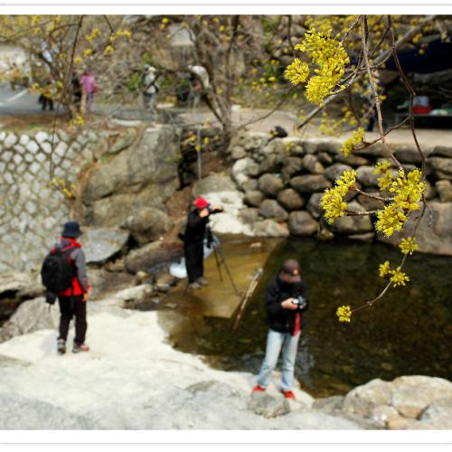 우리 회원님들.. ^^'