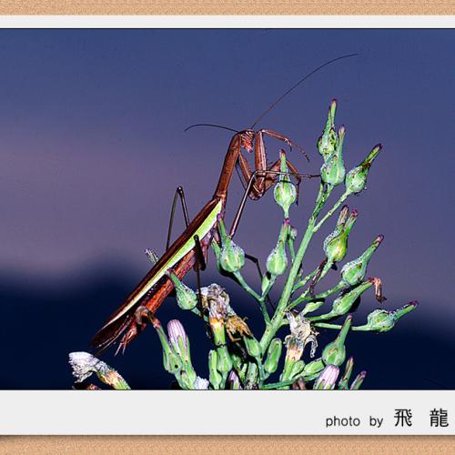 오늘 아침엔104탄