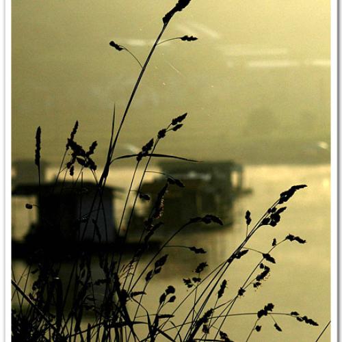 출사15..( 5 미리 수정^^)