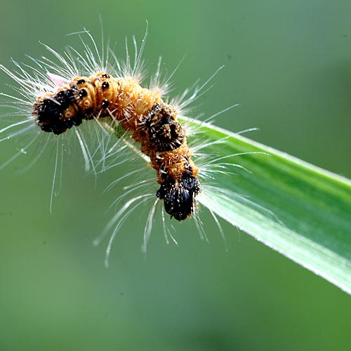 오늘 아침엔161-2탄(징그럽지만...)