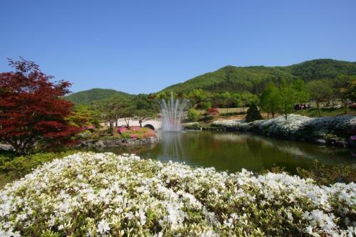 금강자연휴양림