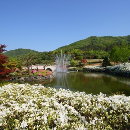 금강자연휴양림